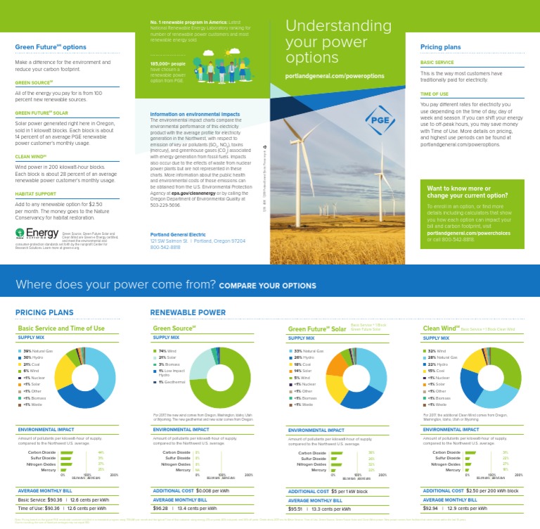 Understanding Your Power Options: Pricing Plans Green Future Options ...