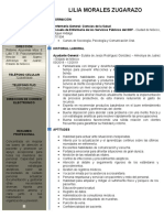 Curriculum Vitae Lilia