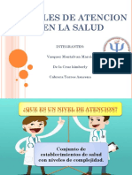 Niveles de Atencion en La Salud Expo - Grupo PDF