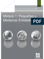 1_Pequenas_y_Medianas%20Entidades