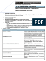 029 BASES DEL PROCESO DE SELECCION CAS.pdf