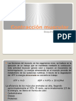 contracción muscular