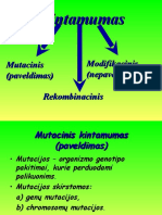 Mutacinis Kintamumas (Mokslobaze - LT)