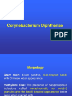 Bacillus PDF