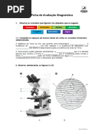 teste_diagnostico_id1160057_98015