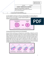 Guia N° 9 - 7° Básico - Reproduccion Humana - Formacion de Un Nuevo Individuo.