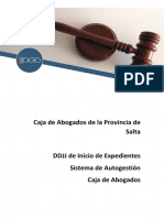 MANUAL DE FUNCIONES DDJJ Inicio de Expedientes.pdf