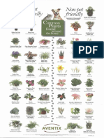 Pet-Friendly-Plants-1-1.pdf