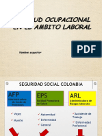 La Salud Ocupacional en El Ambito Laboral