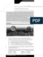 Teste1 PDF