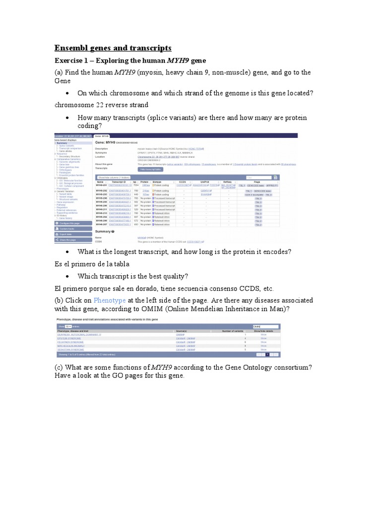 Ensembl Genes And Transcripts Pdf Gene Genome