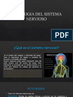 Fisiologia Del Sistema Nerviosourg
