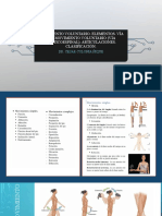 Clase 2 Anatomia Del Movimiento-1