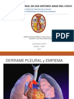 3) Derrame Pleural, Imagenología, Toracosentesis, Manejo Del Derrame Pleural Maligno, Empiema, Diagnóstico y Manejo Terapéutico PDF