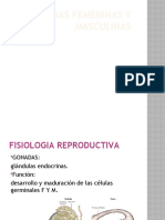 Gónadas femeninas y masculinas: fisiología reproductiva