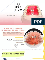 Placa de Expansion en Abanico PDF