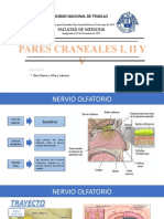 Pares Craneales I, Ii Y V: Facultad de Medicina