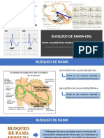 Bloqueo de Rama