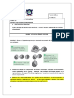 Tercera Linea de Defensa Trabajo Escolar