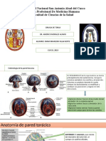 1)Patología quirúrgica de pared de tórax, pectus excavatum y carinatum, defectos esternales, tumores de la pared torácica, aspectos quirúrg.pptx