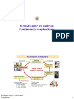 Inmovilizacion_Enzimas_Bioquimica_Industrial_.pdf