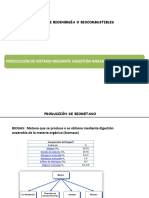 Produccion_de_biometano2013CV.pdf