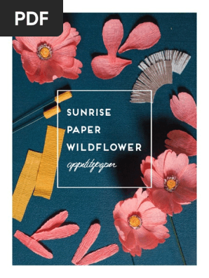 AppetitePaper_PaperFlowerGuide_SurnriseWildflower