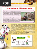 Naturales Cadena Alimenticia