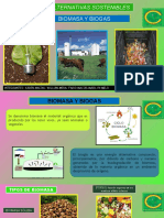 Biomasa y Biogas