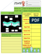 Worksheet Cell Defense Activate2