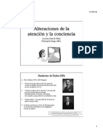 Sesión 3 Síndrome de Balint y Simultagnosia VERSIÓN 3 PDF