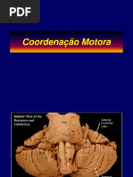 Aula Coordenação Motora.pdf