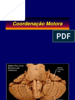 Aula Coordenação Motora PDF