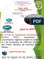 Informe AGA Gobierno Regional Piura GOREL 2010