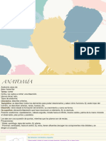 Anatomía Práctica PDF