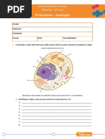 14_CIA_CIE_6ANO_2BIM_Avaliacao_TRTART