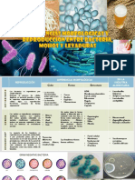 Biotecnologia - Unjfsc