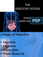 THE Digestive System: BY: Jamie Francis C. Ray