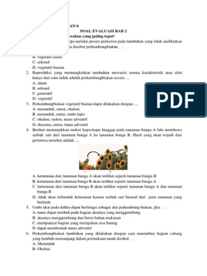 Perkembangbiakan tumbuhan yang dilakukan dengan cara menimbun bagian cabang yang tumbuh memanjang da