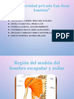 Región Del Hombro 2020 PDF
