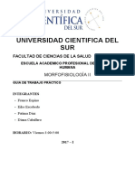 Informe Excitabilidad Neuromuscular