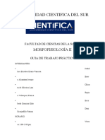 Informe Metabolismo Basal