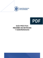 Guia_Practica_RegimenMatricesySubordinadas.pdf