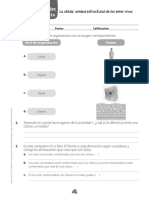 Evaluación 5 PDF