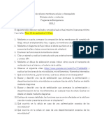 Taller 1 - Refuerzo de Conocimientos Previos PDF