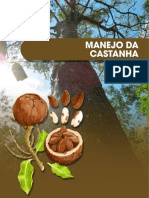 Manejo Da Castanha