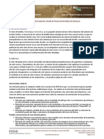 Mouse MolecularGenetics Student Spanish PDF