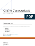 Grafica Computerizata