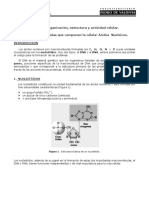 BM - 05 - 09-06-2008 Principales Moléculas Que Componen La Célula Ácidos Nucleicos