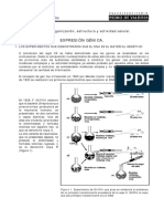 BM - 13 - 13-06-2008 Expresión Génica PDF